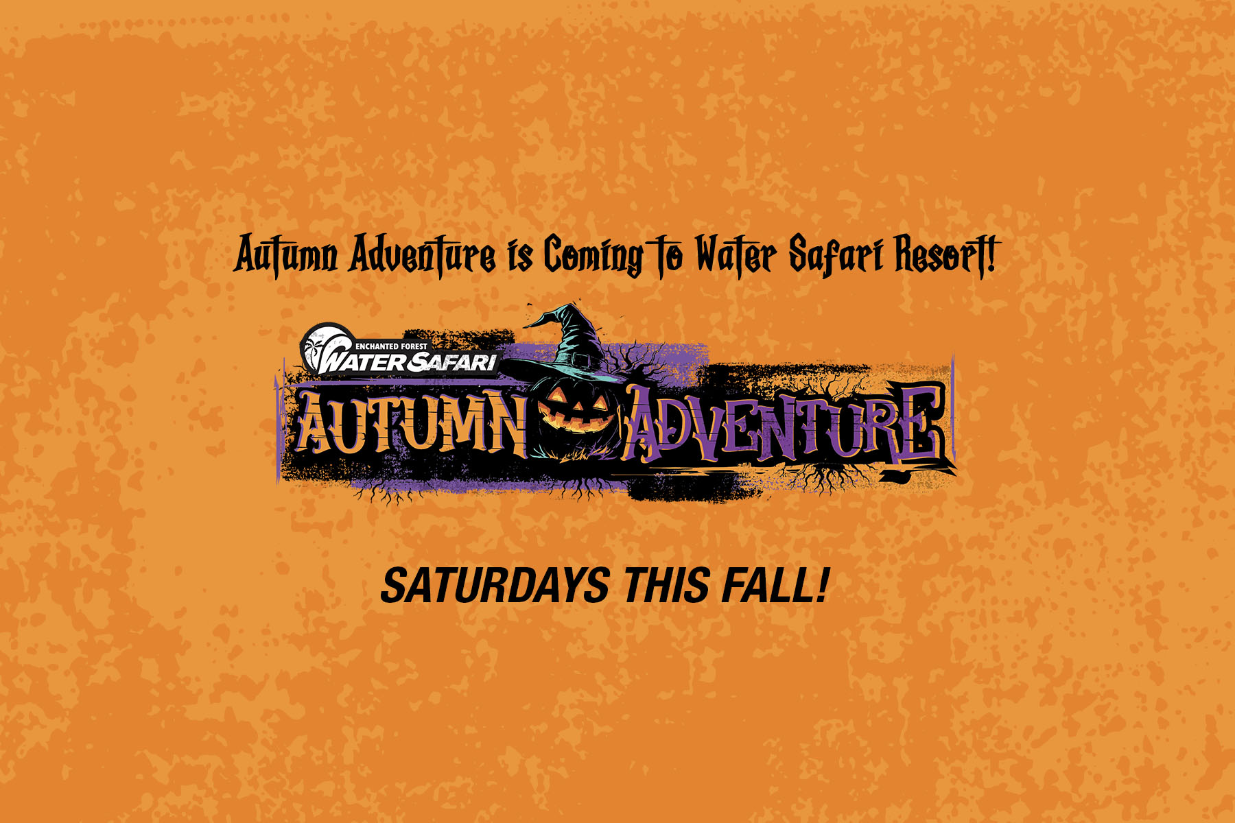 Autumn Adventure at Water Safari!